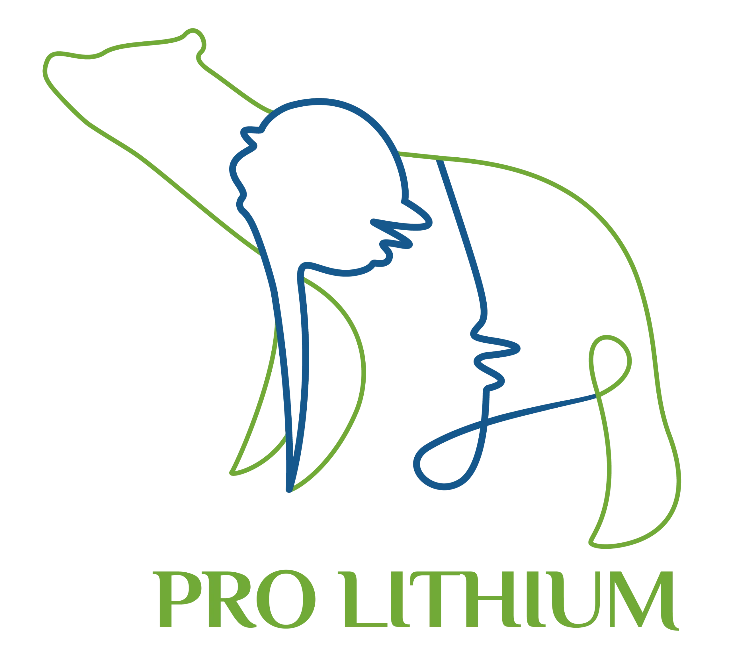 Pro Lithium Assembly Lithium Batteries